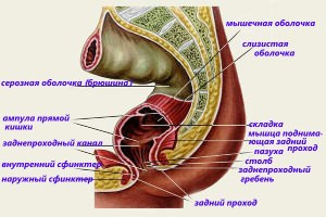 Статьи