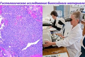 Статьи