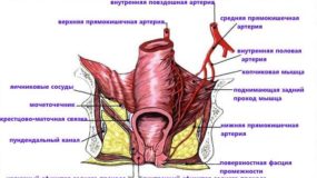 Почему болит задний проход после опорожнения Почему болит задний проход после опорожнения