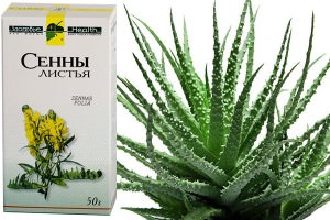 Лечение
