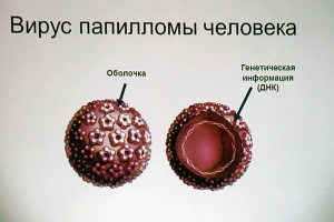 Статьи